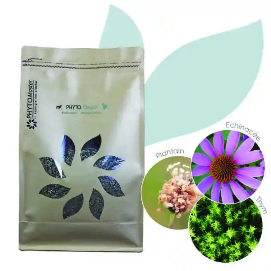 Top Vente PHYTO RESPIR – 100% plantes sèches – PHYTOMASTER