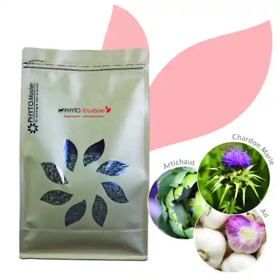 Dernière Chance PHYTO FOURBURE – 100% plantes sèches – PHYTOMASTER