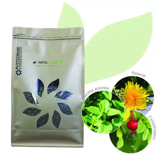 PHYTO FORME – 100% plantes sèches – PHYTOMASTER Soldes