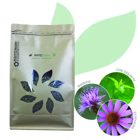 PHYTO DERM – 100% plantes sèches – PHYTOMASTER Seulement Aujourd’hui