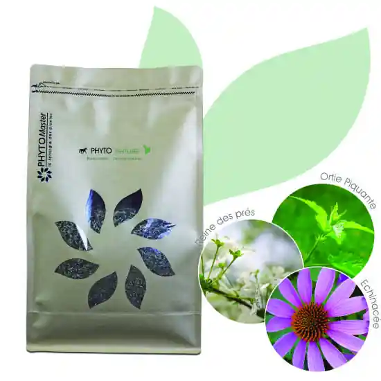 Commander Vite PHYTO VERRUES – 100% plantes sèches – PHYTOMASTER