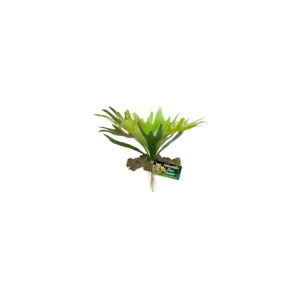/DECOR STAGHORN FERN BU-65E Nouvelle Collection